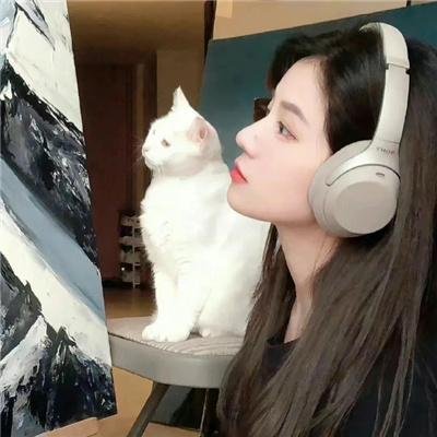 深林抢案