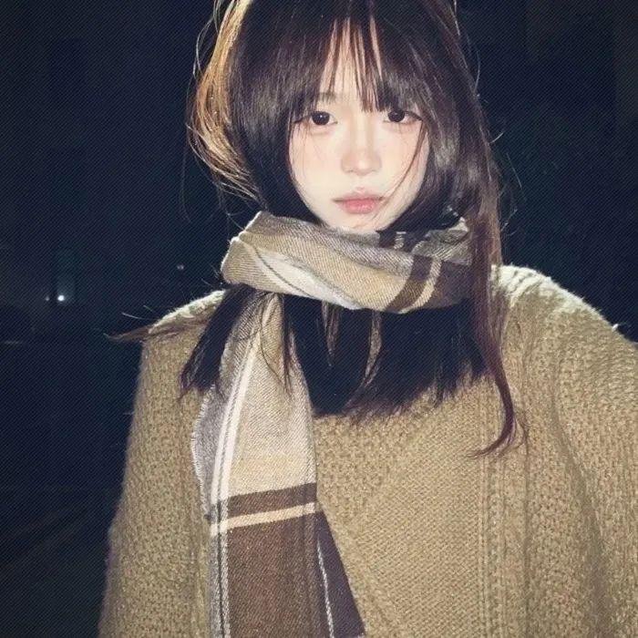 沙鸥